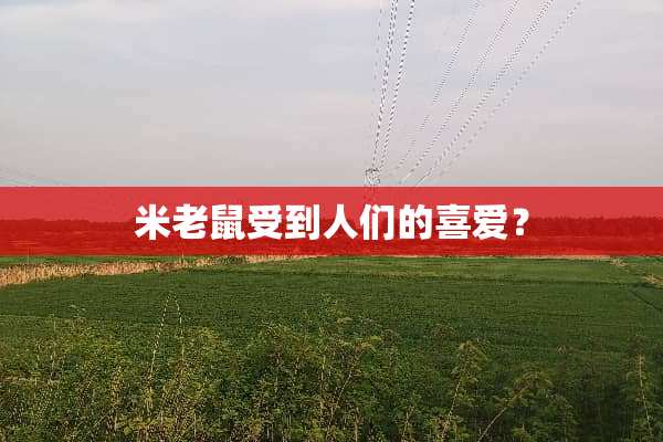 米老鼠受到人们的喜爱？