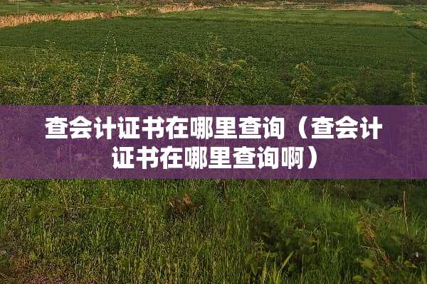 查***书在哪里查询（查***书在哪里查询啊）