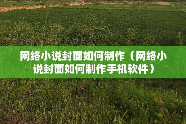 网络小说封面如何制作（网络小说封面如何制作手机软件）