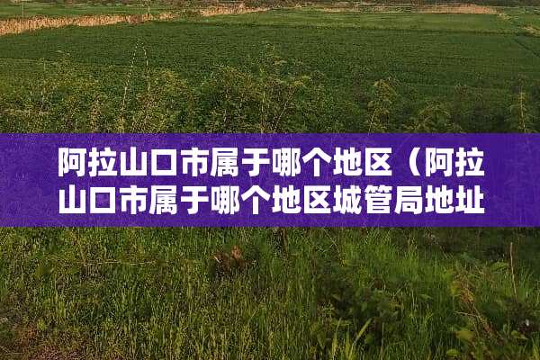 阿拉山口市属于哪个地区（阿拉山口市属于哪个地区**局地址电话）
