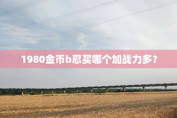 1980金币b忍买哪个加战力多？