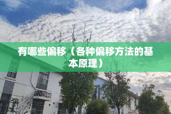有哪些偏移（各种偏移方法的基本原理）