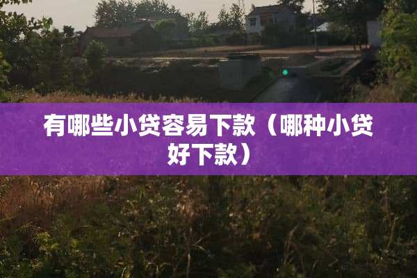 有哪些小贷容易下款（哪种小贷好下款）