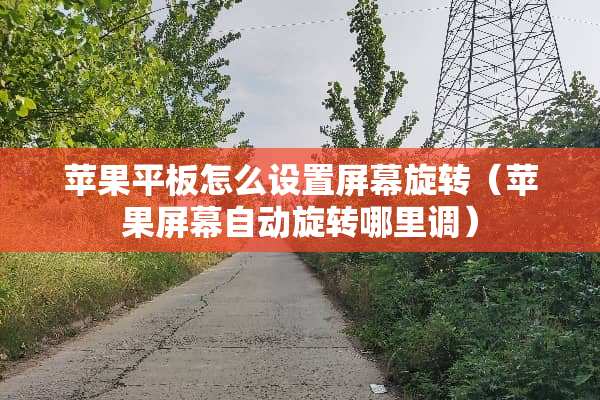 苹果平板怎么设置屏幕旋转（苹果屏幕自动旋转哪里调）