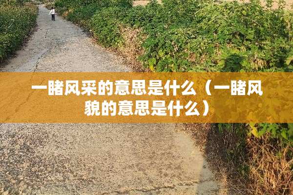 一睹风采的意思是什么（一睹风貌的意思是什么）