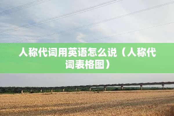 人称代词用英语怎么说（人称代词表格图）