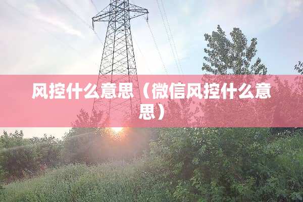 风控什么意思（微信风控什么意思）