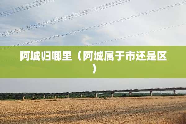 阿城归哪里（阿城属于市还是区）