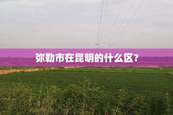 弥勒市在昆明的什么区？