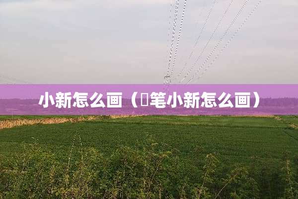 小新怎么画（焟笔小新怎么画）