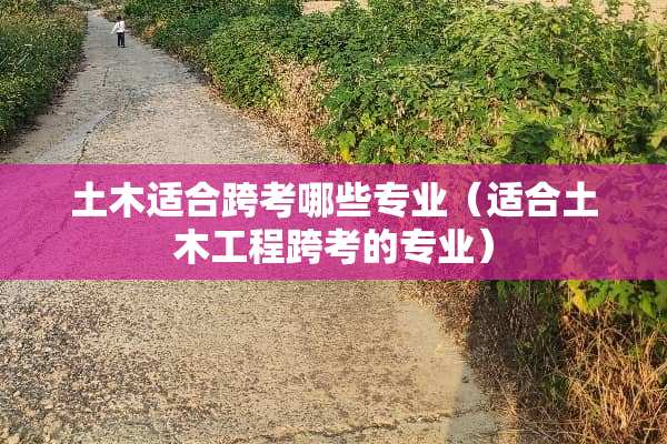土木适合跨考哪些专业（适合土木工程跨考的专业）