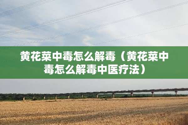 黄花菜中毒怎么解毒（黄花菜中毒怎么解毒中医疗法）