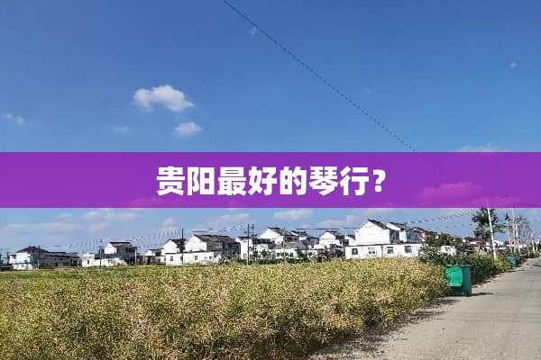 贵阳最好的琴行？
