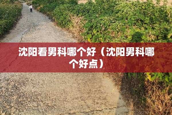 沈阳看男科哪个好（沈阳男科哪个好点）