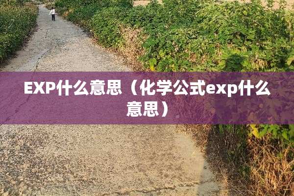 EXP什么意思（化学公式exp什么意思）