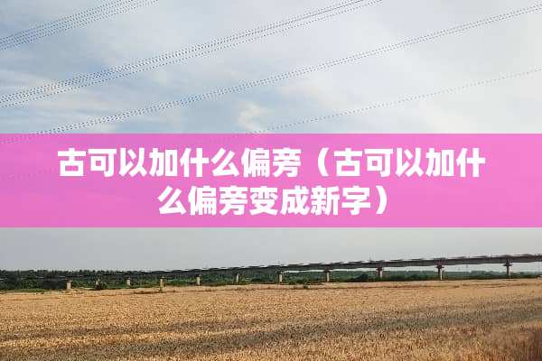 古可以加什么偏旁（古可以加什么偏旁变成新字）