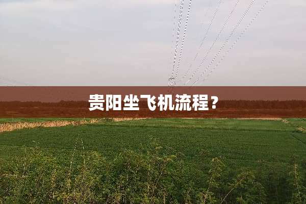 贵阳坐飞机流程？