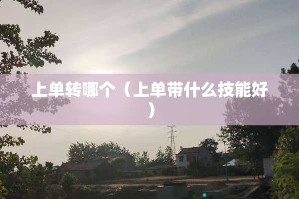 上单转哪个（上单带什么技能好）