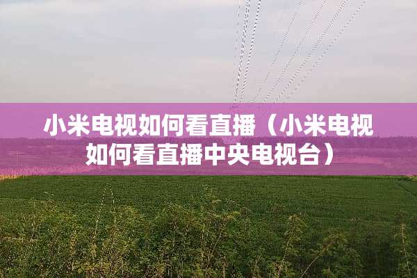 小米电视如何看直播（小米电视如何看直播**电视台）