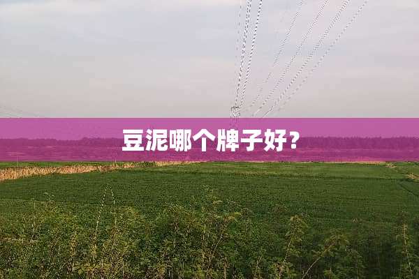 豆泥哪个牌子好？