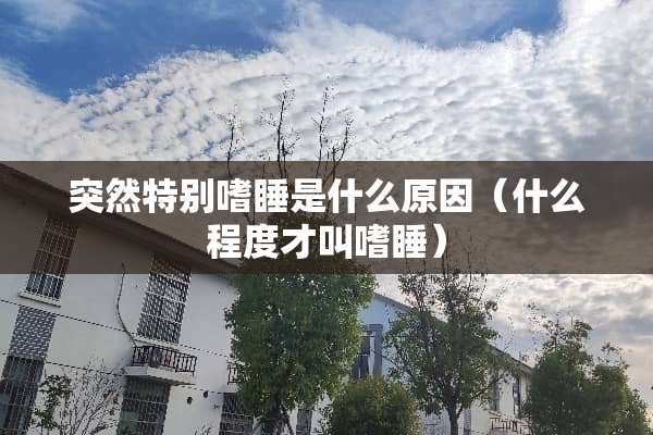 突然特别嗜睡是什么原因（什么程度才叫嗜睡）