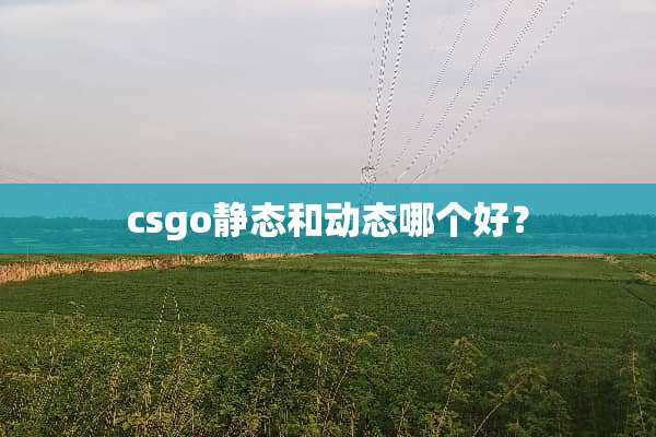 csgo静态和动态哪个好？