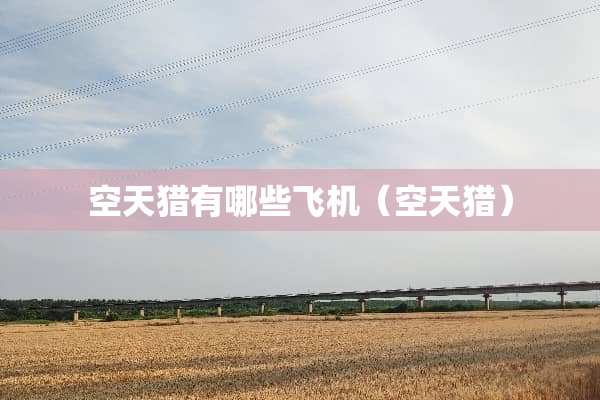 空天猎有哪些飞机（空天猎）