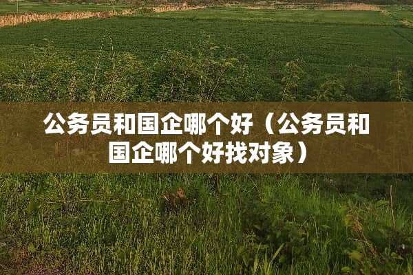 公务员和国企哪个好（公务员和国企哪个好找对象）