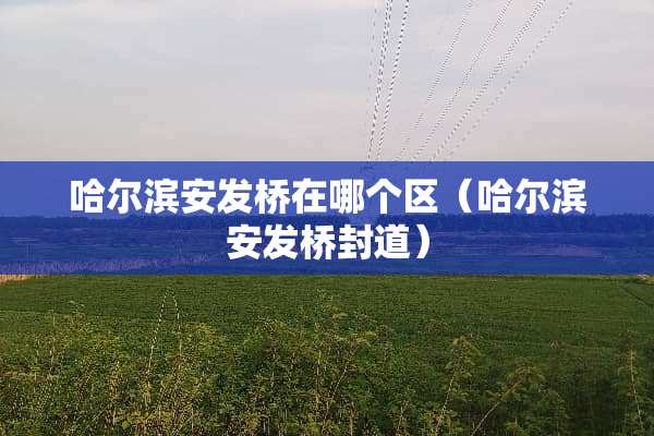 哈尔滨安发桥在哪个区（哈尔滨安发桥封道）