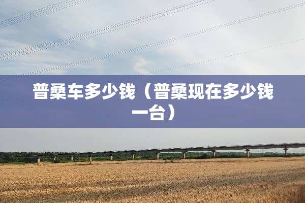 普桑车多少钱（普桑现在多少钱一台）