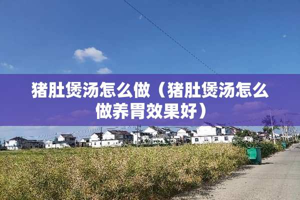 猪肚煲汤怎么做（猪肚煲汤怎么做养胃效果好）