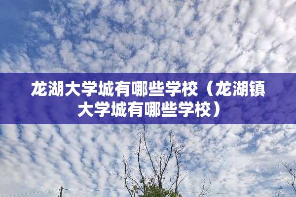 龙湖大学城有哪些学校（龙湖镇大学城有哪些学校）