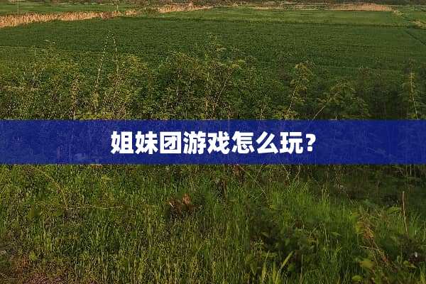 姐妹团游戏怎么玩？