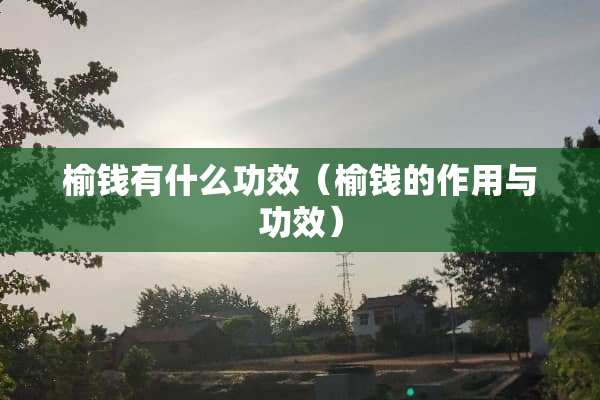 榆钱有什么功效（榆钱的作用与功效）