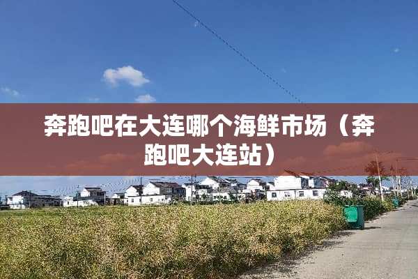 奔跑吧在大连哪个海鲜市场（奔跑吧大连站）