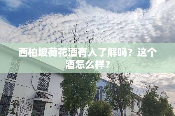 西柏坡荷花酒有人了解吗？这个酒怎么样？