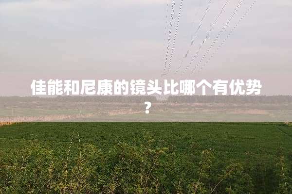 佳能和尼康的镜头比哪个有优势？
