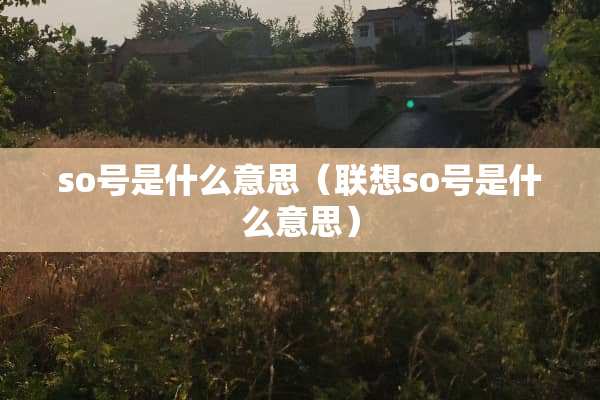 so号是什么意思（联想so号是什么意思）