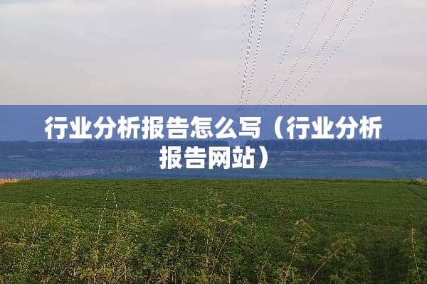 行业分析报告怎么写（行业分析报告网站）