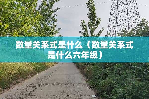 数量关系式是什么（数量关系式是什么六年级）