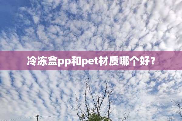 冷冻盒pp和pet材质哪个好？