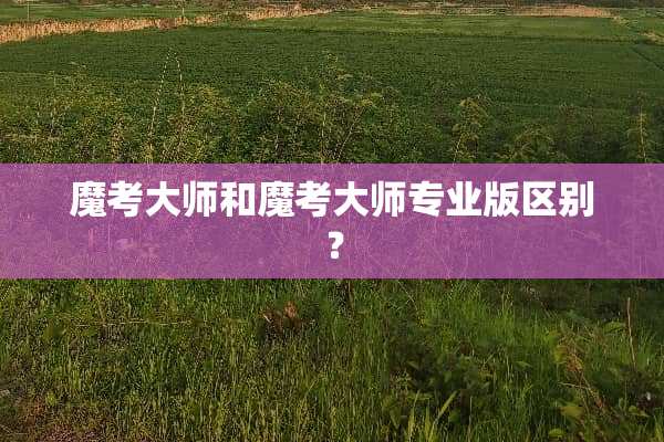 魔考大师和魔考大师专业版区别？