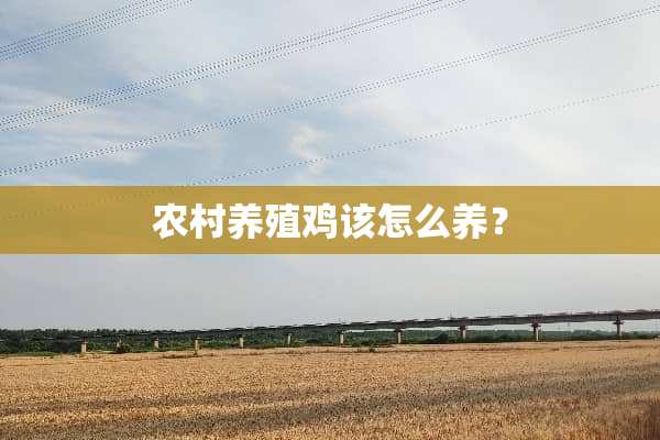 农村养殖鸡该怎么养？