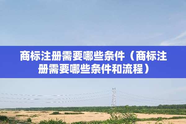 商标注册需要哪些条件（商标注册需要哪些条件和流程）