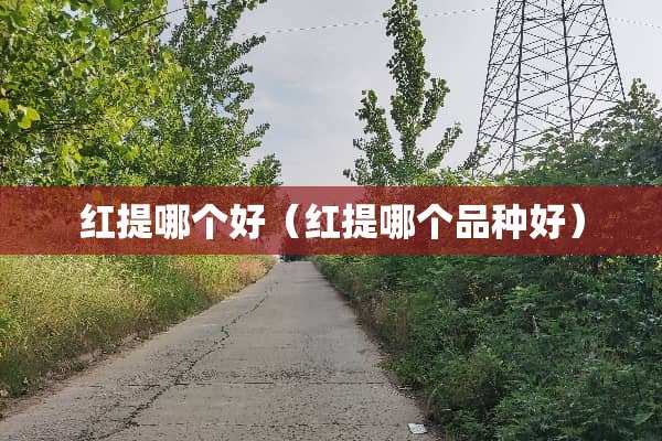 红提哪个好（红提哪个品种好）