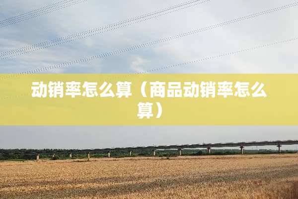 动销率怎么算（商品动销率怎么算）