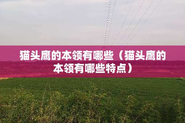 猫头鹰的本领有哪些（猫头鹰的本领有哪些特点）