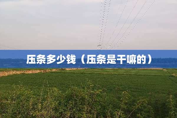压条多少钱（压条是干嘛的）