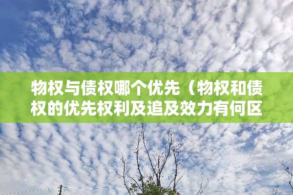 物权与债权哪个优先（物权和债权的优先权利及追及效力有何区别）