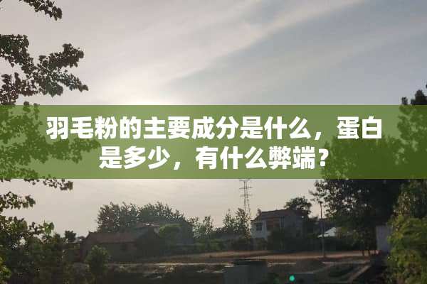 羽毛粉的主要成分是什么，蛋白是多少，有什么弊端？